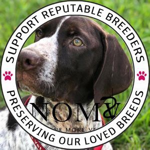 Meet your Posher, Raeanne